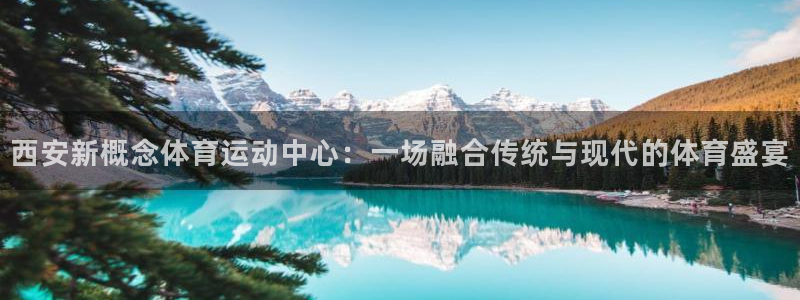 中欧体育李勇鸿：西安新概念体育运动中心：一场融合传统与现代的体育盛宴
