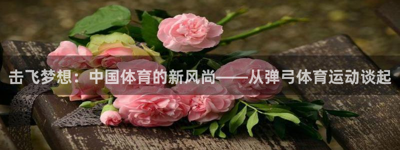 kok新版中欧体育：击飞梦想：中国体育的新风尚——从弹弓体育运动谈起