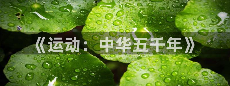 zyty中欧体育平台：《运动：中华五千年》