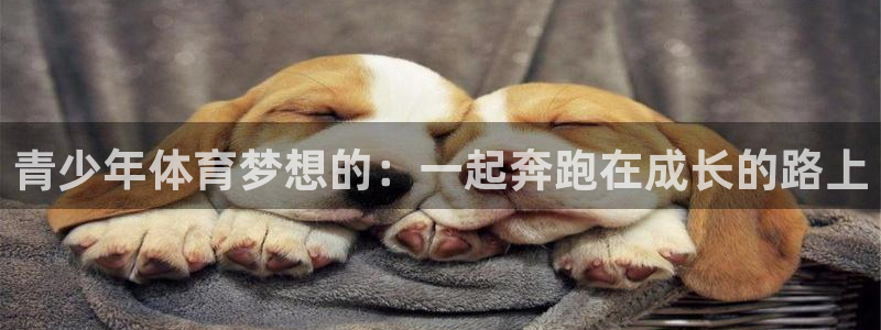 kok中欧体育：青少年体育梦想的：一起奔跑在成长的路上