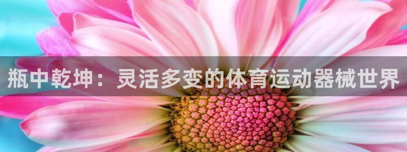 kok新版中欧体育：瓶中乾坤：灵活多变的体育运动器械世界