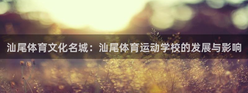 中欧体育zoty下载：汕尾体育文化名城：汕尾体育运动学校的发展与影响