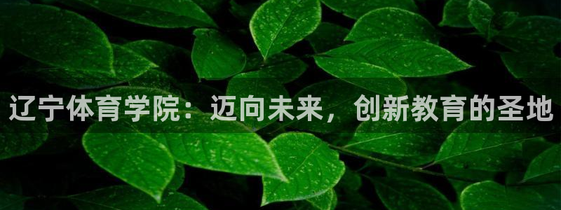 zoty中欧体育：辽宁体育学院：迈向未来，创新教育的圣地