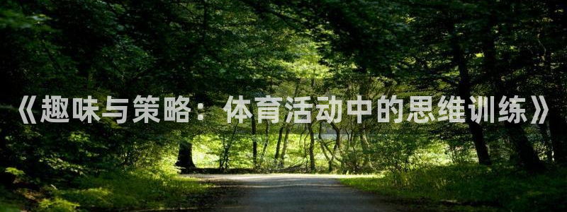 中欧体育全站app：《趣味与策略：体育活动中的思维训练》