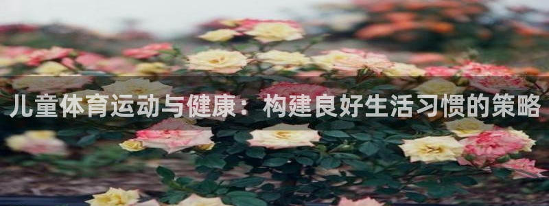 中欧体育：儿童体育运动与健康：构建良好生活习惯的策略