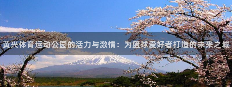 中欧体育官网入口：黄兴体育运动公园的活力与激情：为篮球爱好者打造的未来之城