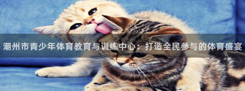 中欧体育zoty下载：潮州市青少年体育教育与训练中心：打造全民参与的体育盛宴