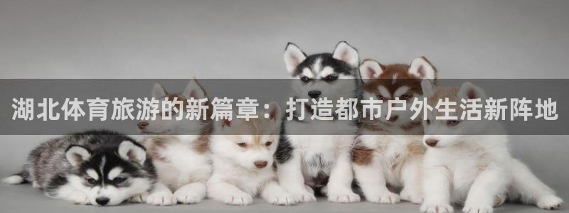zyty中欧体育平台：湖北体育旅游的新篇章：打造都市户外生活新阵地