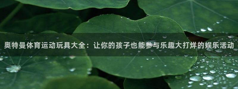 kok中欧体育：奥特曼体育运动玩具大全：让你的孩子也能参与乐趣大打烊的娱乐活动